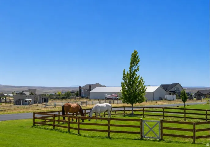 Expansive green acreage with a wood-fenced paddock and a single mature tree