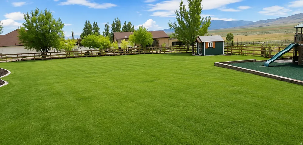 Expansive backyard featuring a lush green lawn, wood fence, mature trees, and a green storage shed