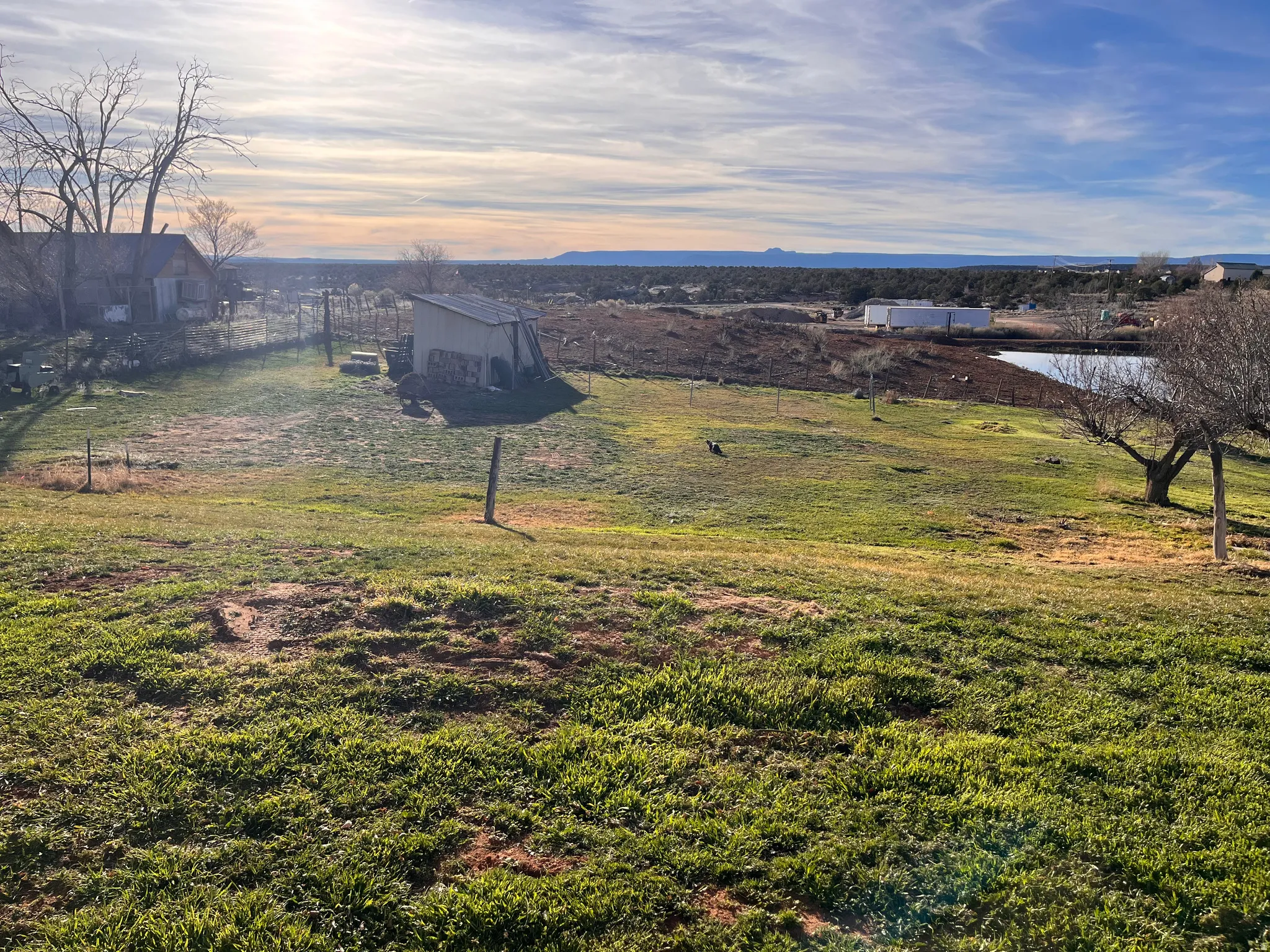 View of grassy yard featuring an outbuilding