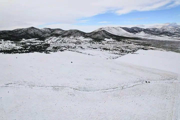 Looking west across the Property