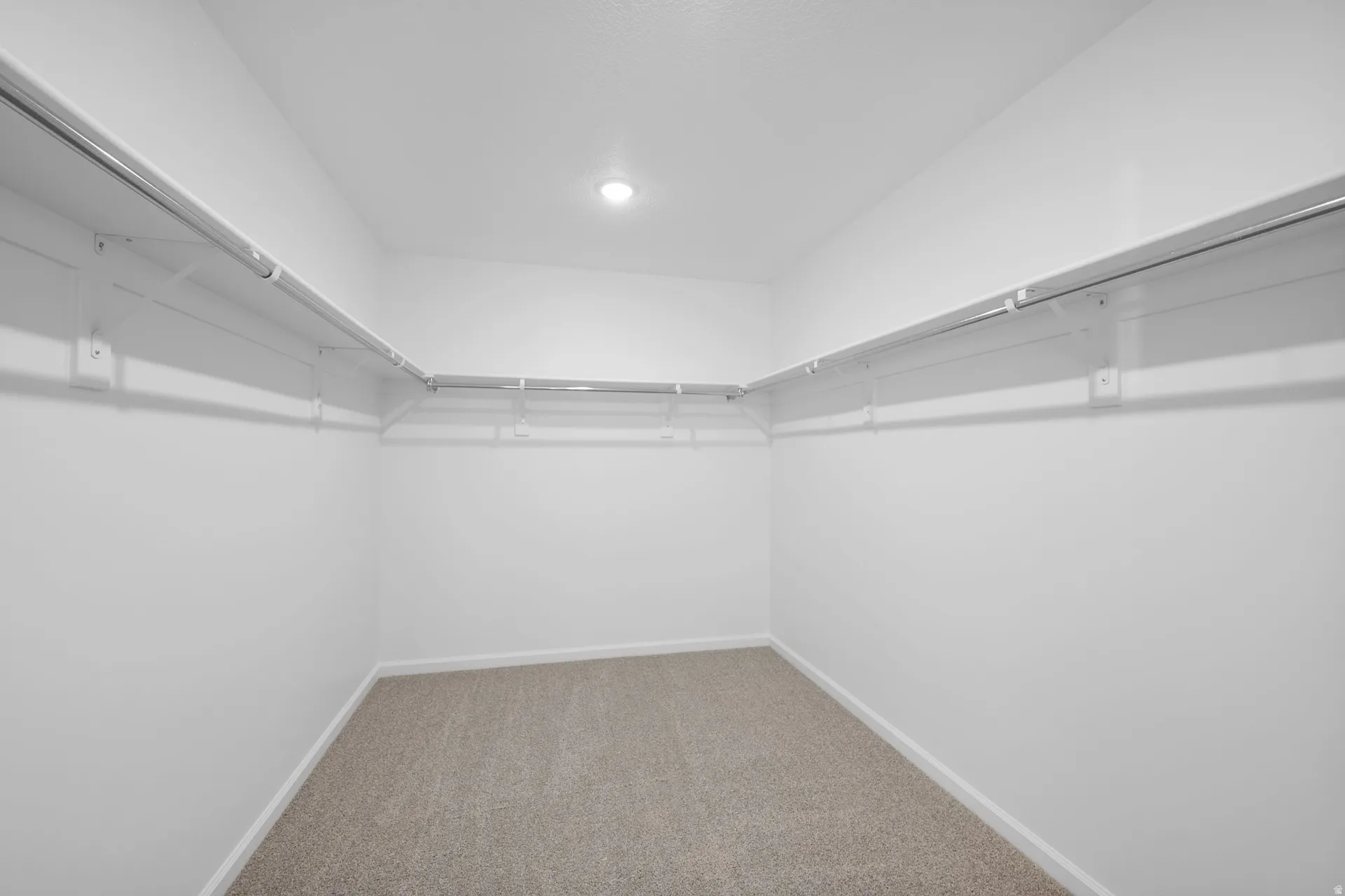 Primary walk-in closet with carpet flooring