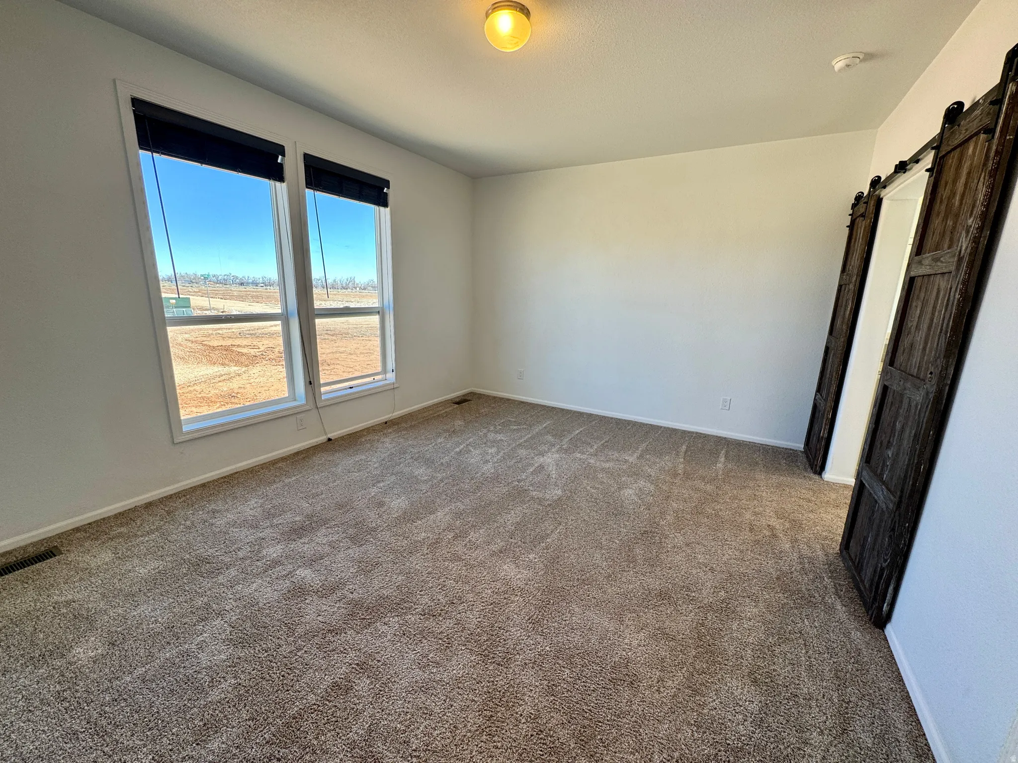 Primary suite featuring a barn door and carpet