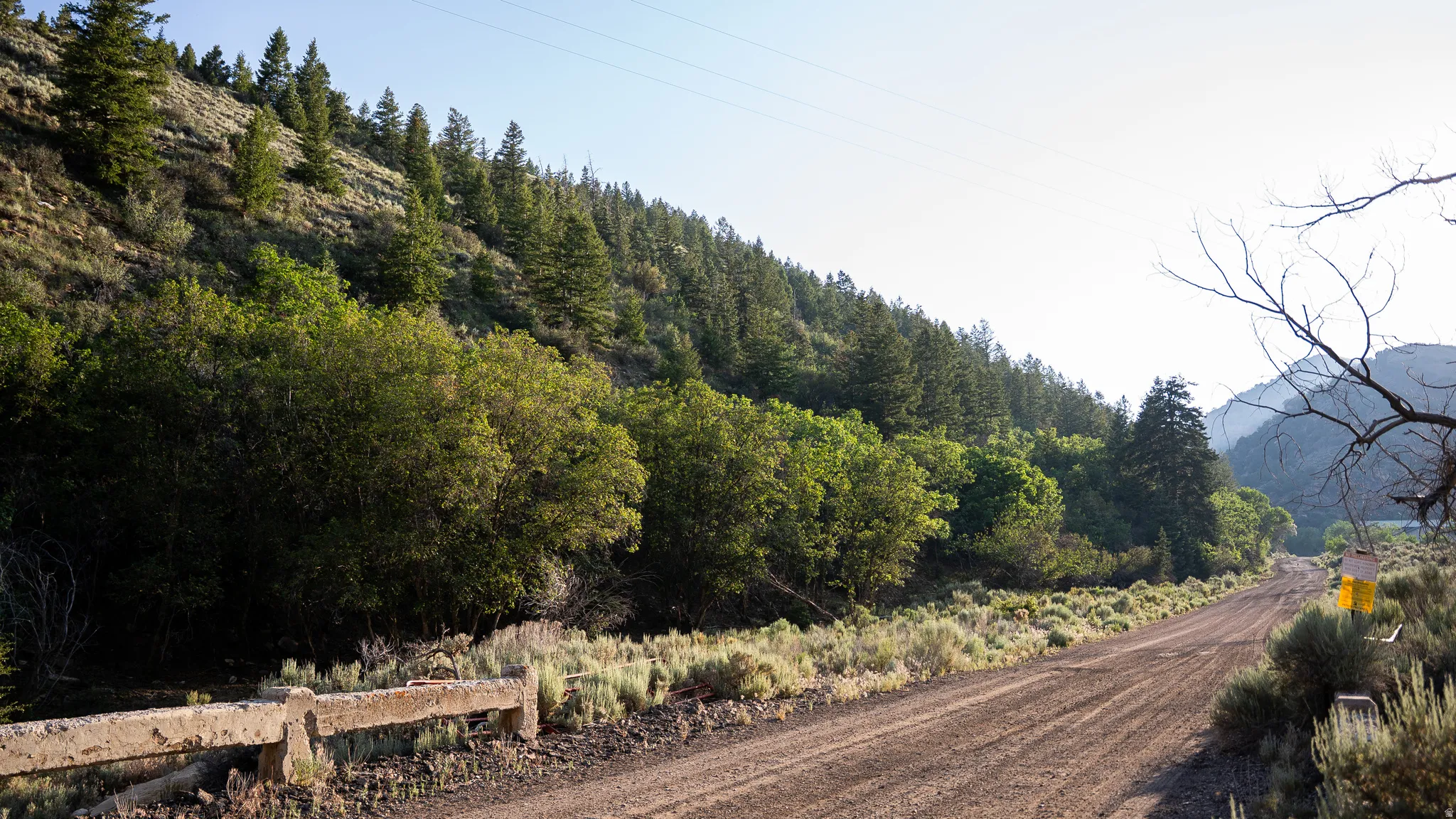 Dirt road bordered by natural vegetation and a concrete barrier