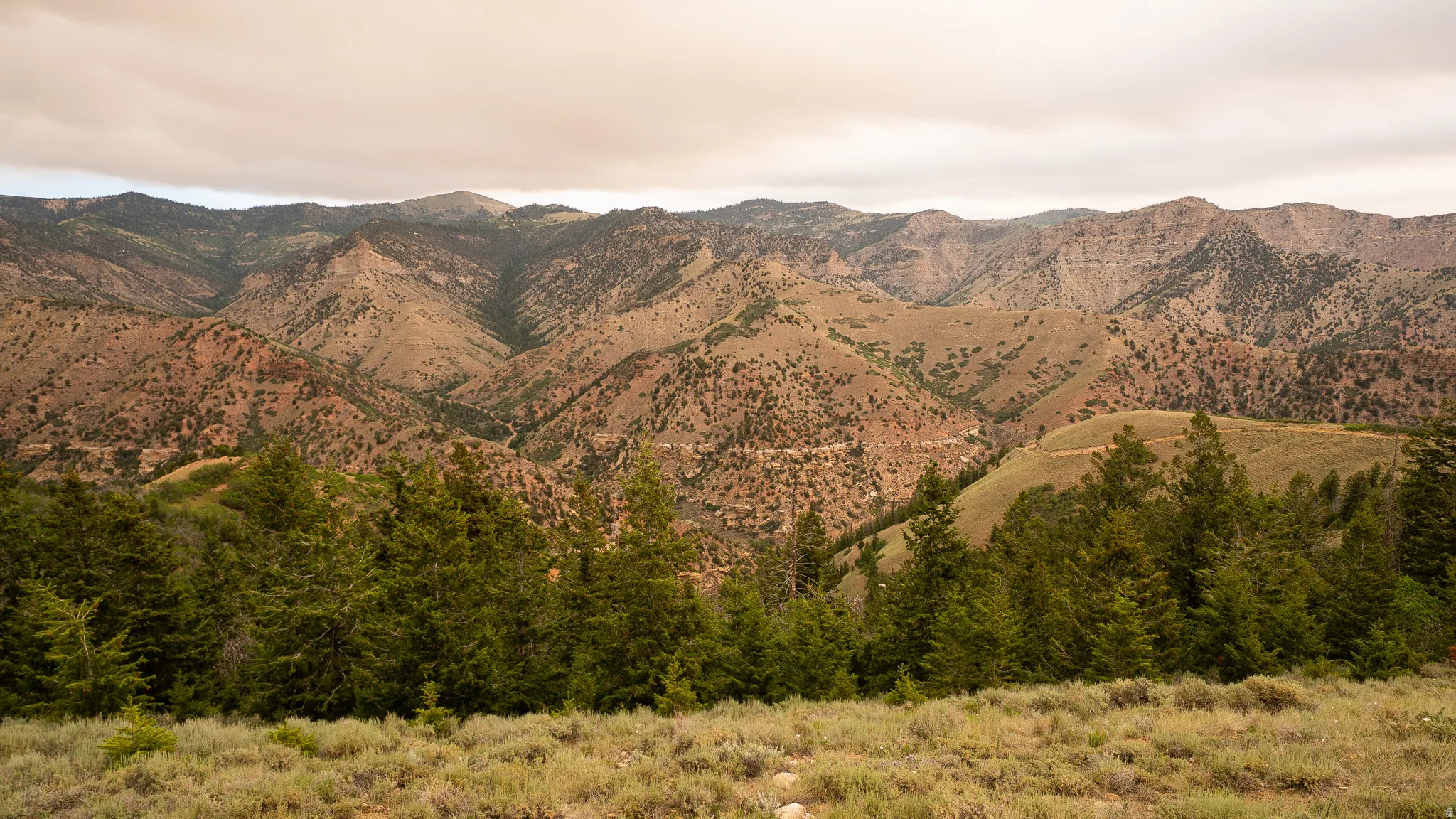 Expansive mountain scenery featuring rugged terrain, varied elevations, and distant peaks under a cloudy sky