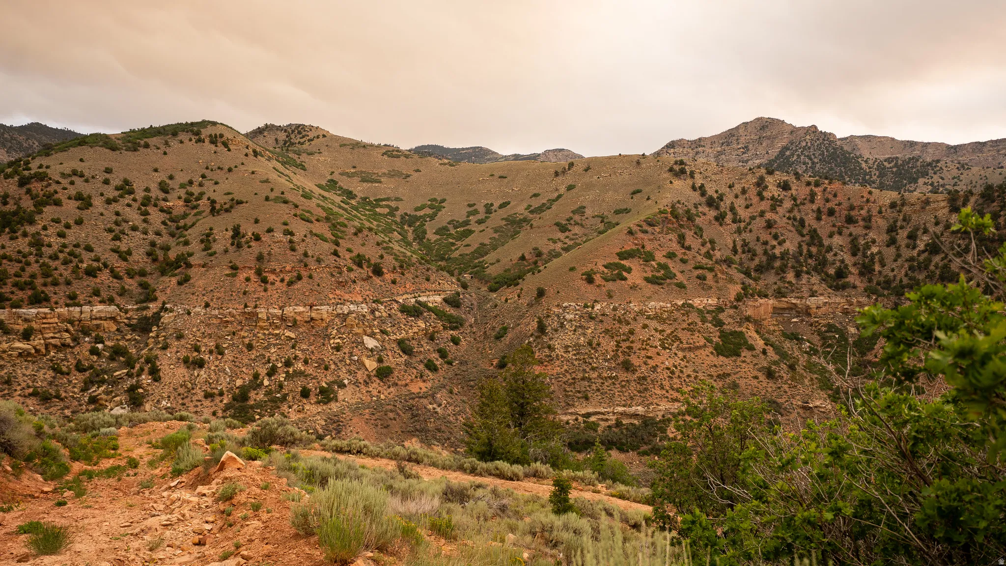Mountainous terrain featuring rugged peaks and a verdant foreground