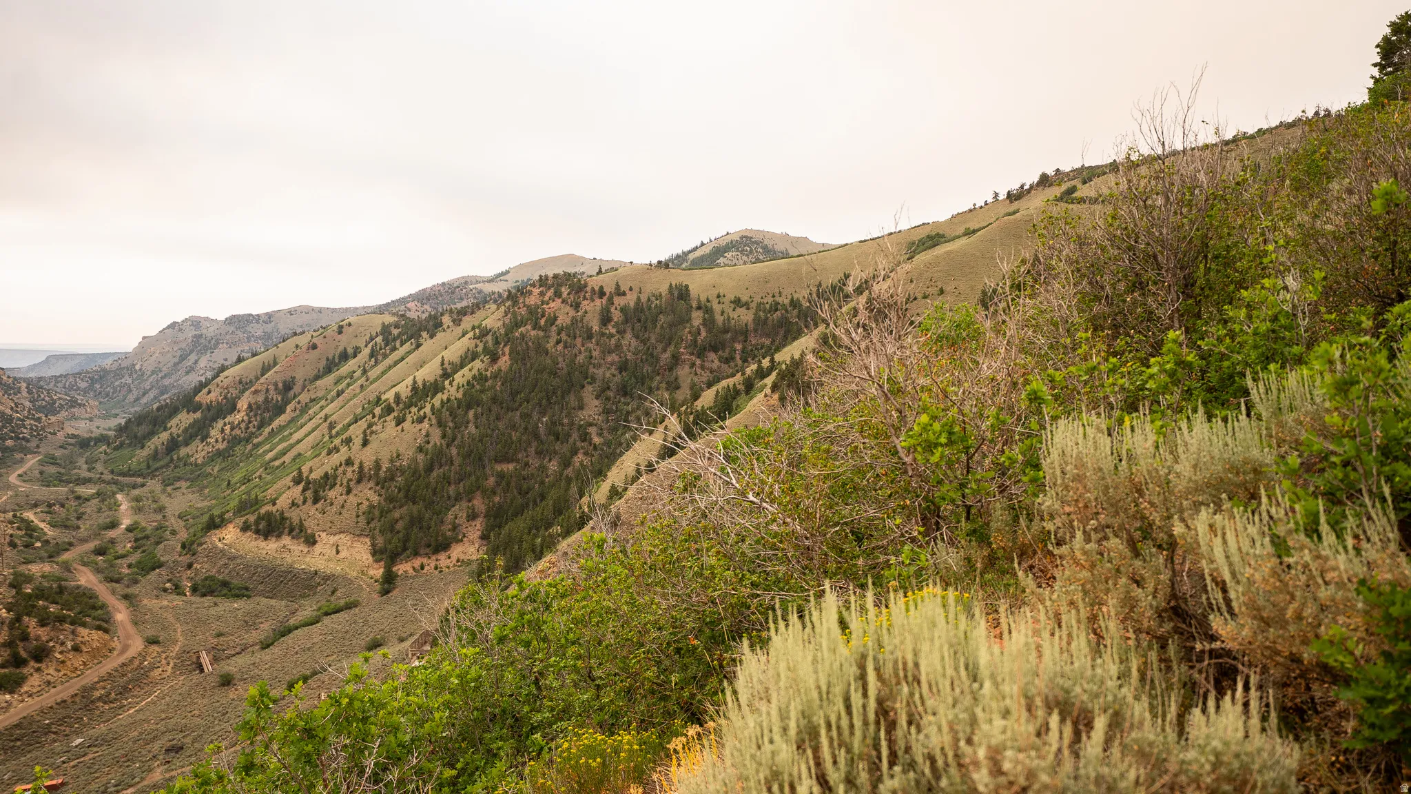 Expansive mountain landscape featuring varied terrain, a winding valley floor, and diverse foliage including evergreen trees and scrub brush