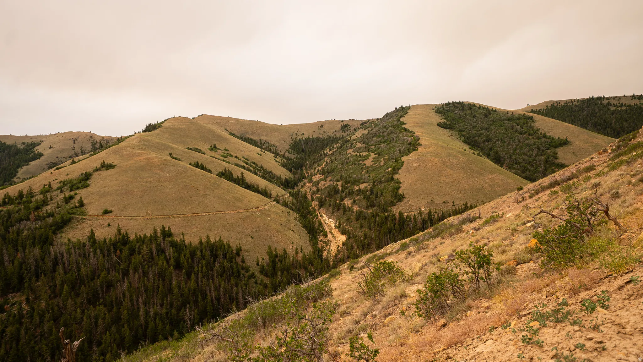 Expansive mountainous terrain featuring varied elevations and natural flora
