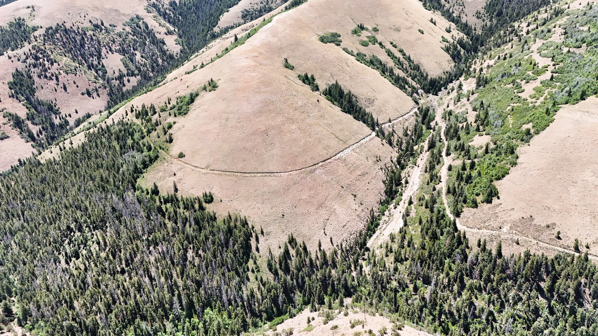 Overview of rural landscape featuring a heavily wooded area