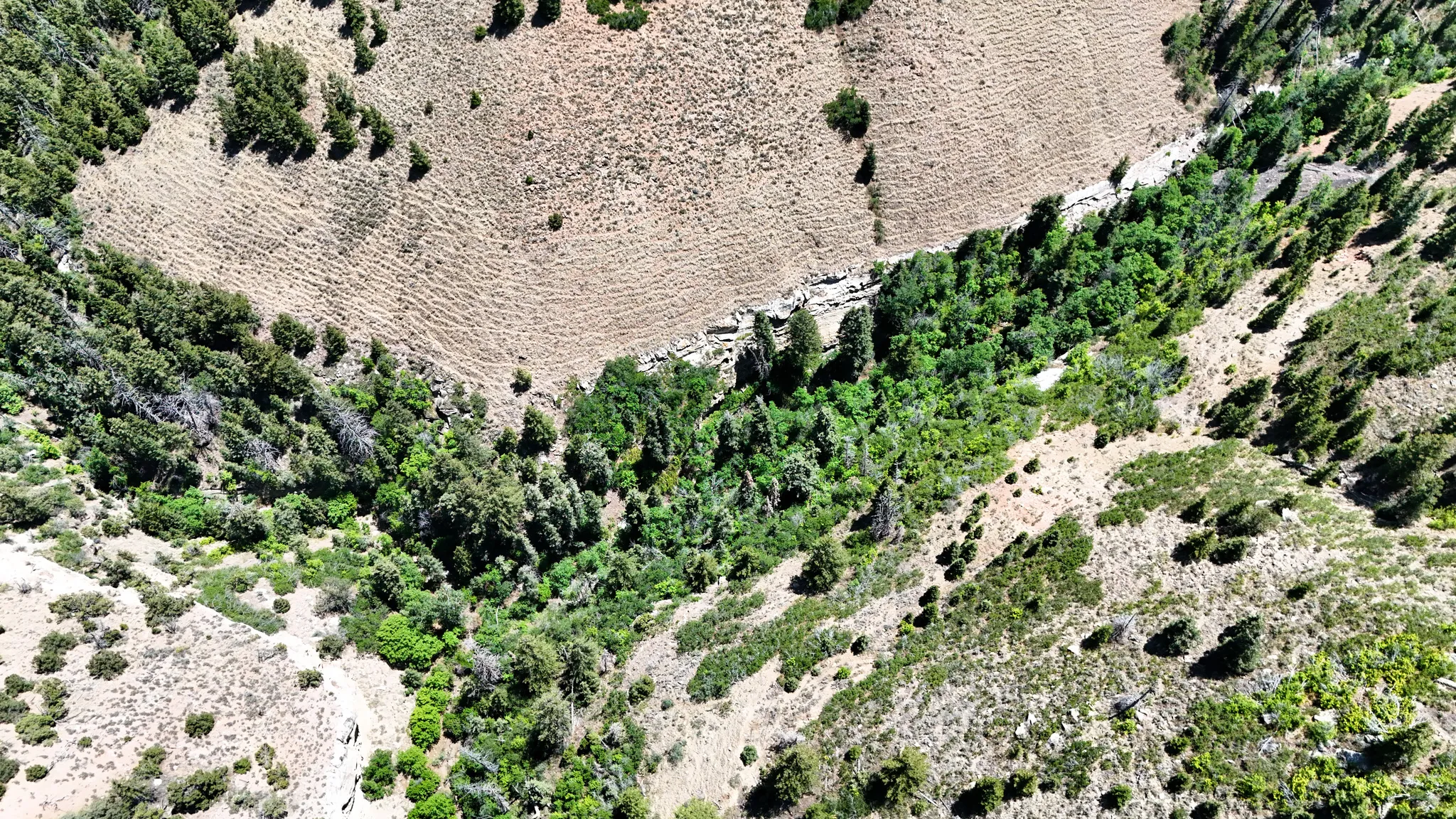 Aerial view of sparsely populated area
