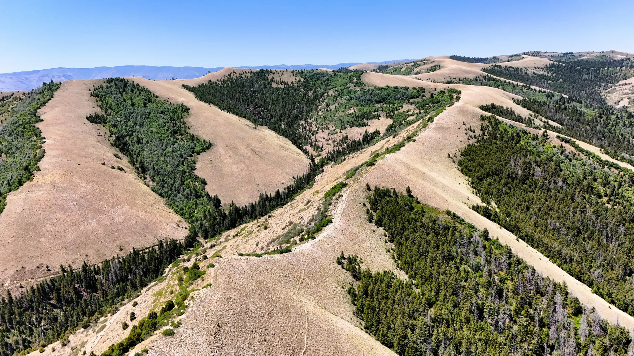 Aerial view of mountains