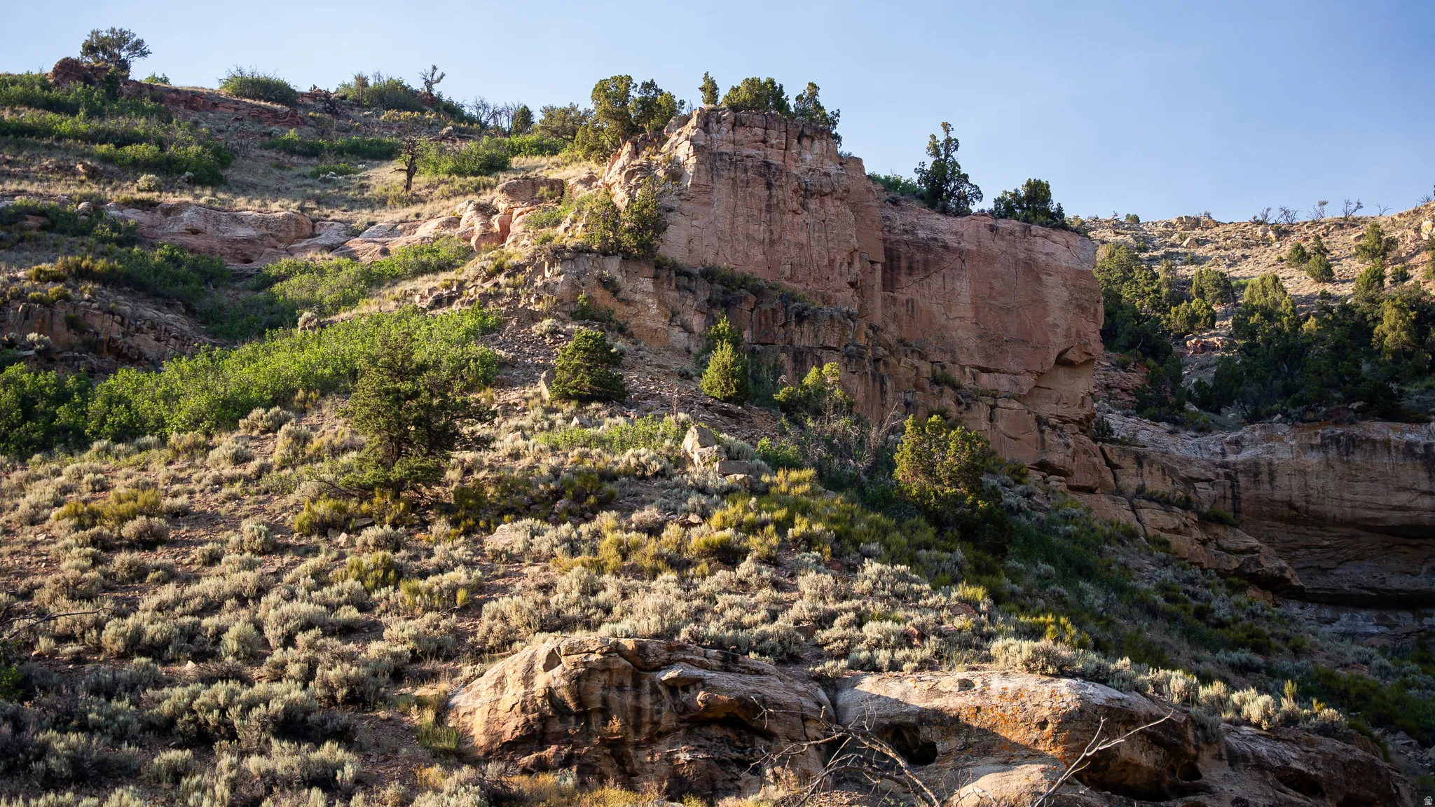 Rocky hillside with natural rock formations, scattered evergreen trees, and low-growing sagebrush