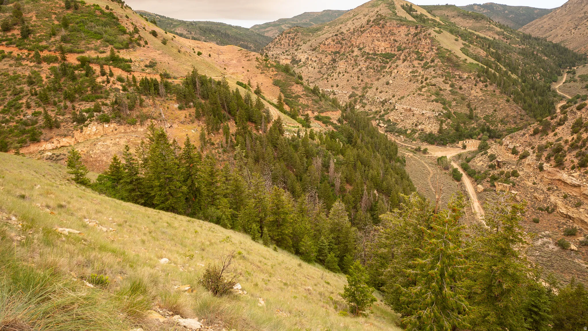 Expansive mountain landscape featuring varied topography, mature evergreen trees, and a visible unpaved road
