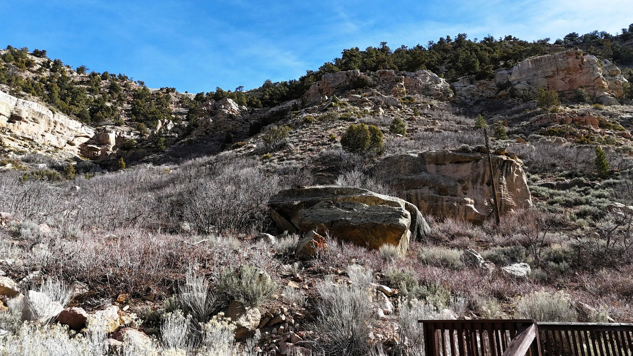 View of local wilderness