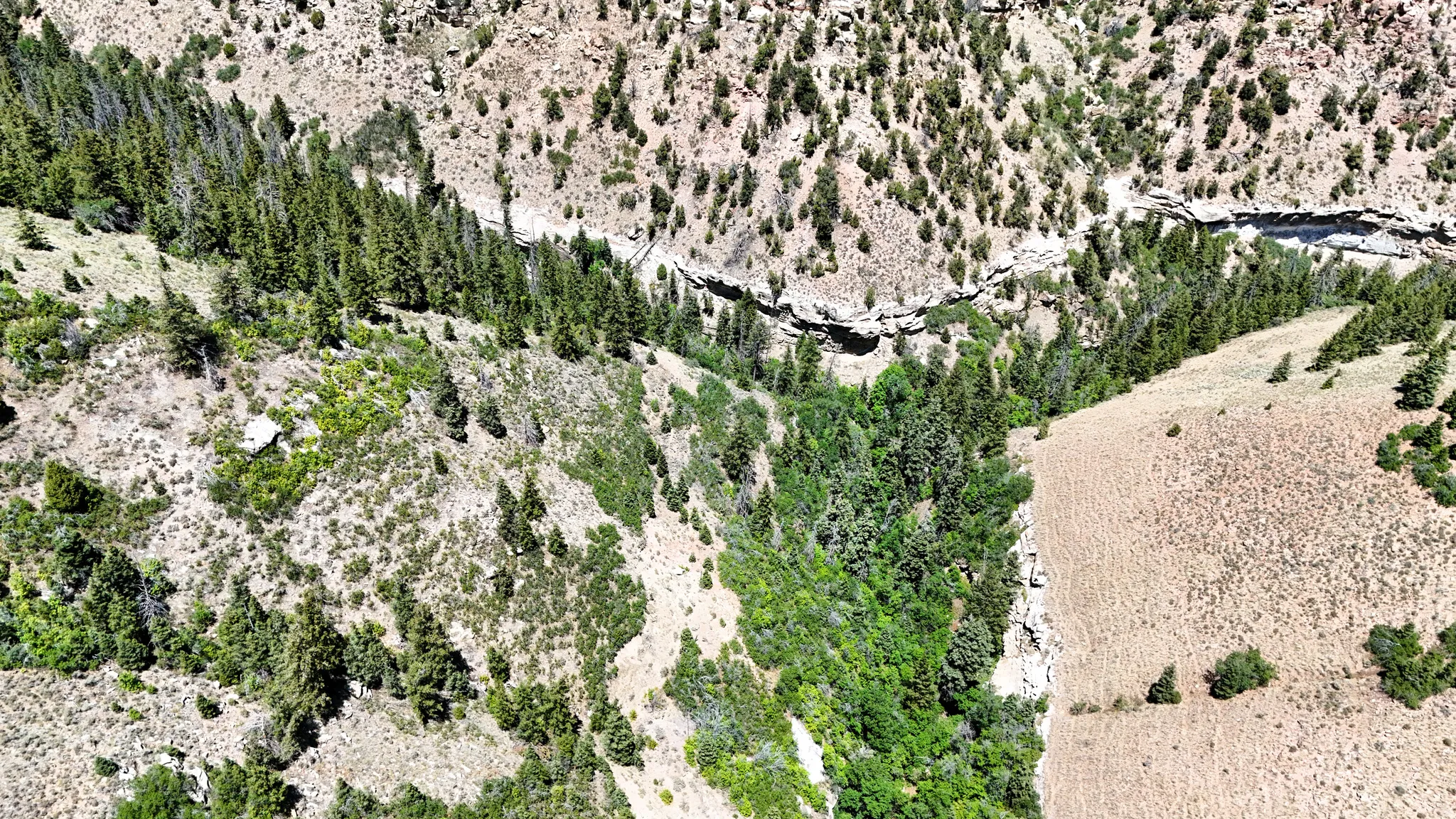 Overview of rural landscape