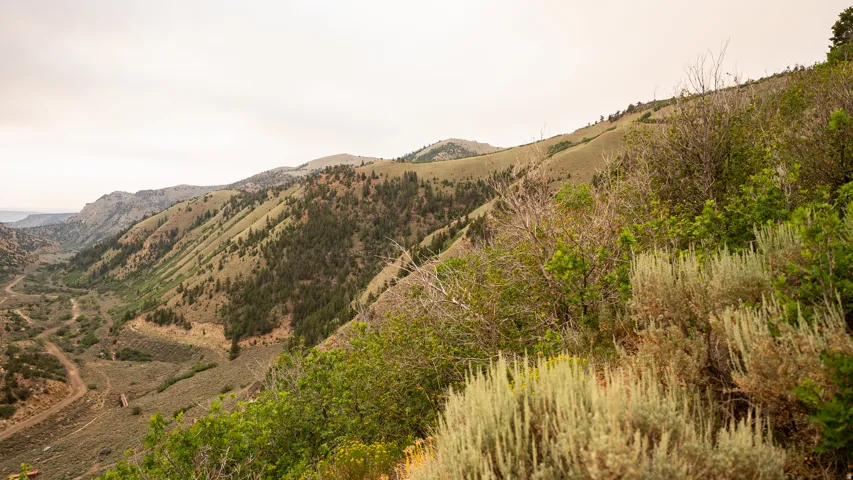 Expansive mountain landscape featuring varied terrain, a winding valley floor, and diverse foliage including evergreen trees and scrub brush