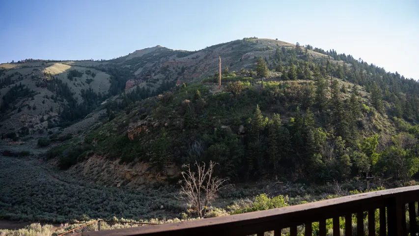 Mountain landscape featuring diverse foliage and a clear sky