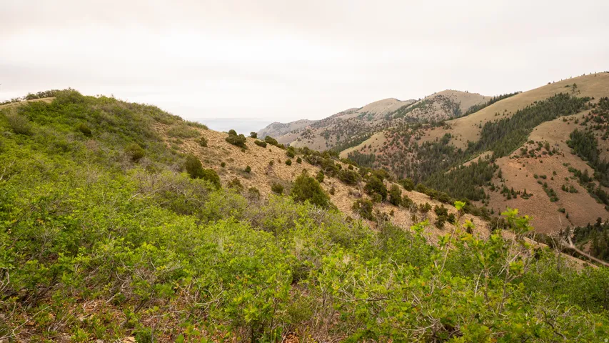 Expansive natural landscape with rolling hills and varied vegetation