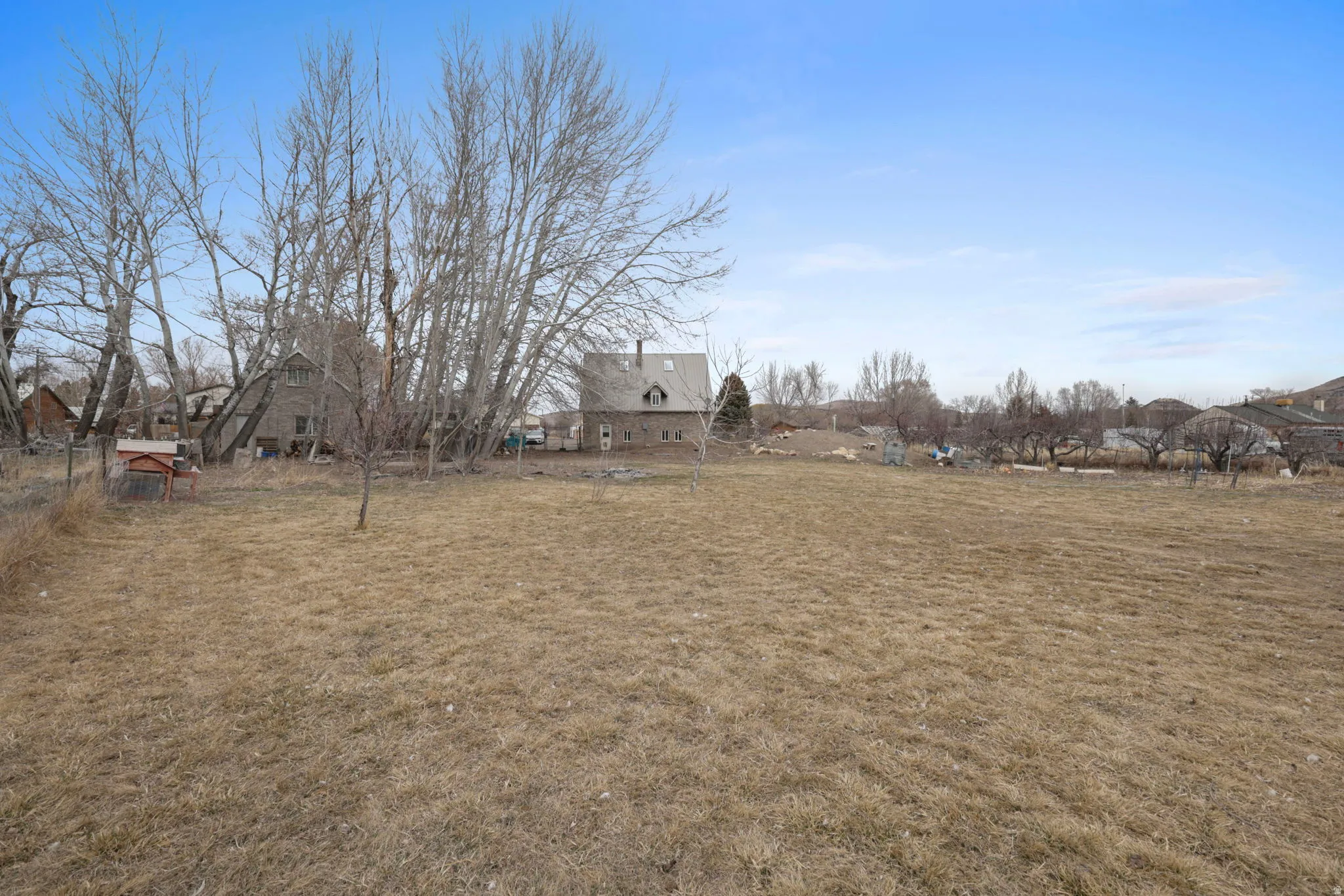 View of grassy yard
