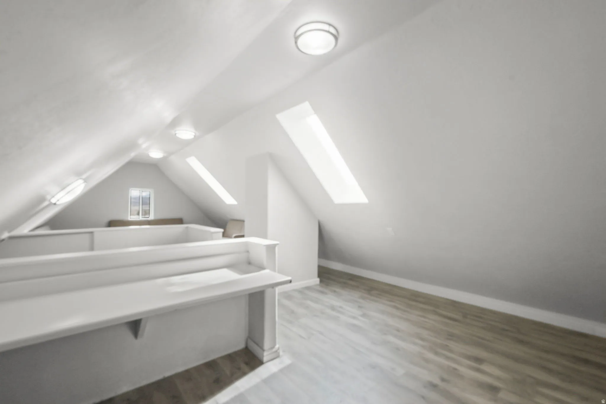 Additional living space featuring light wood finished floors and a skylight