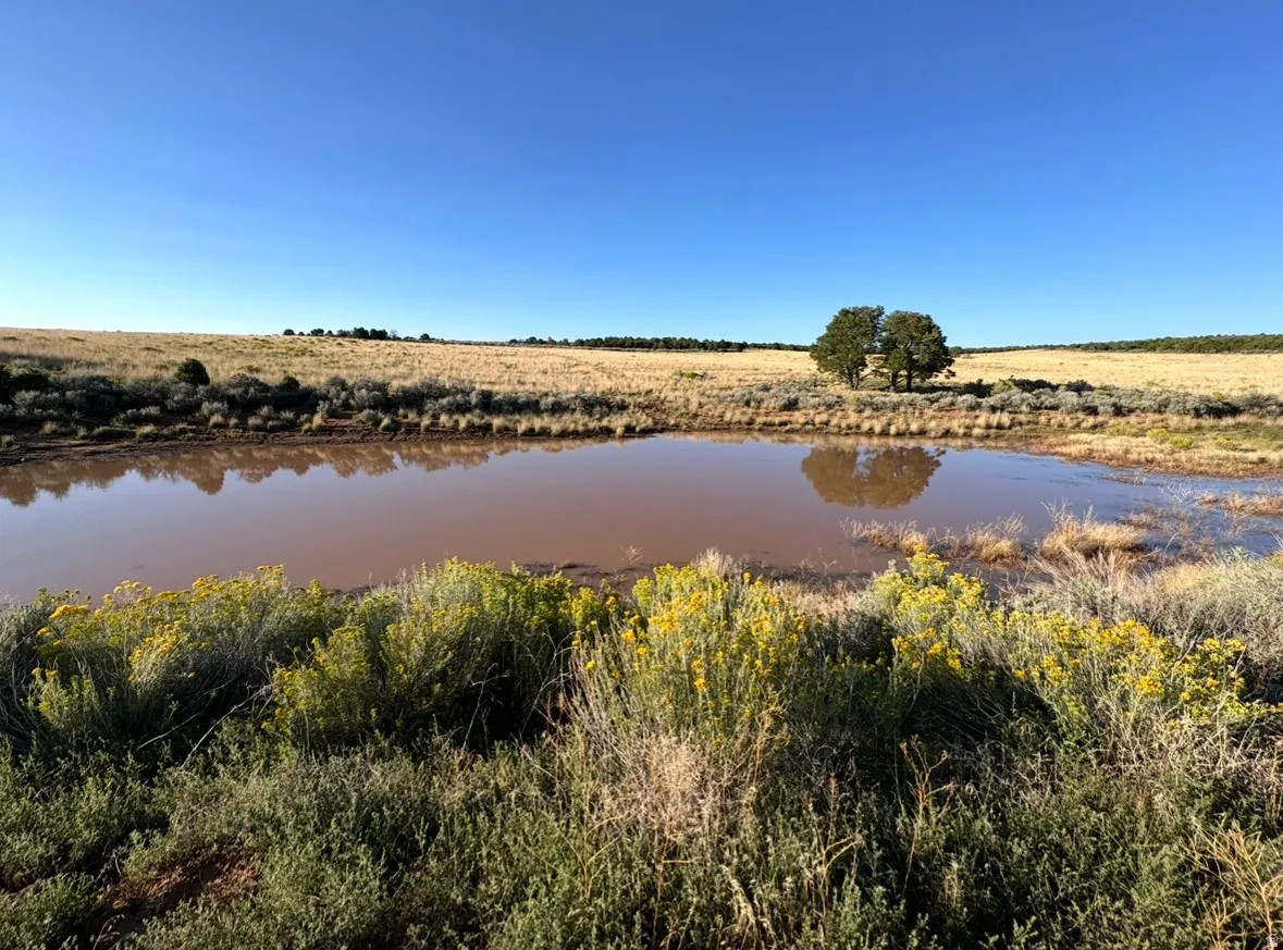 catch pond when full