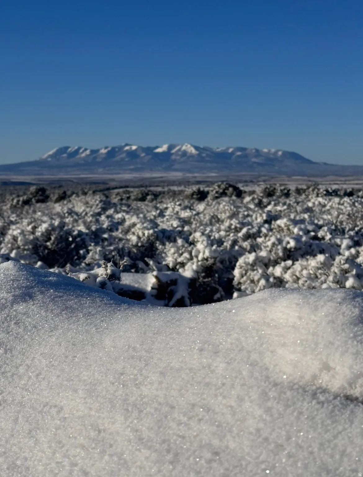 View of Abajo mountain