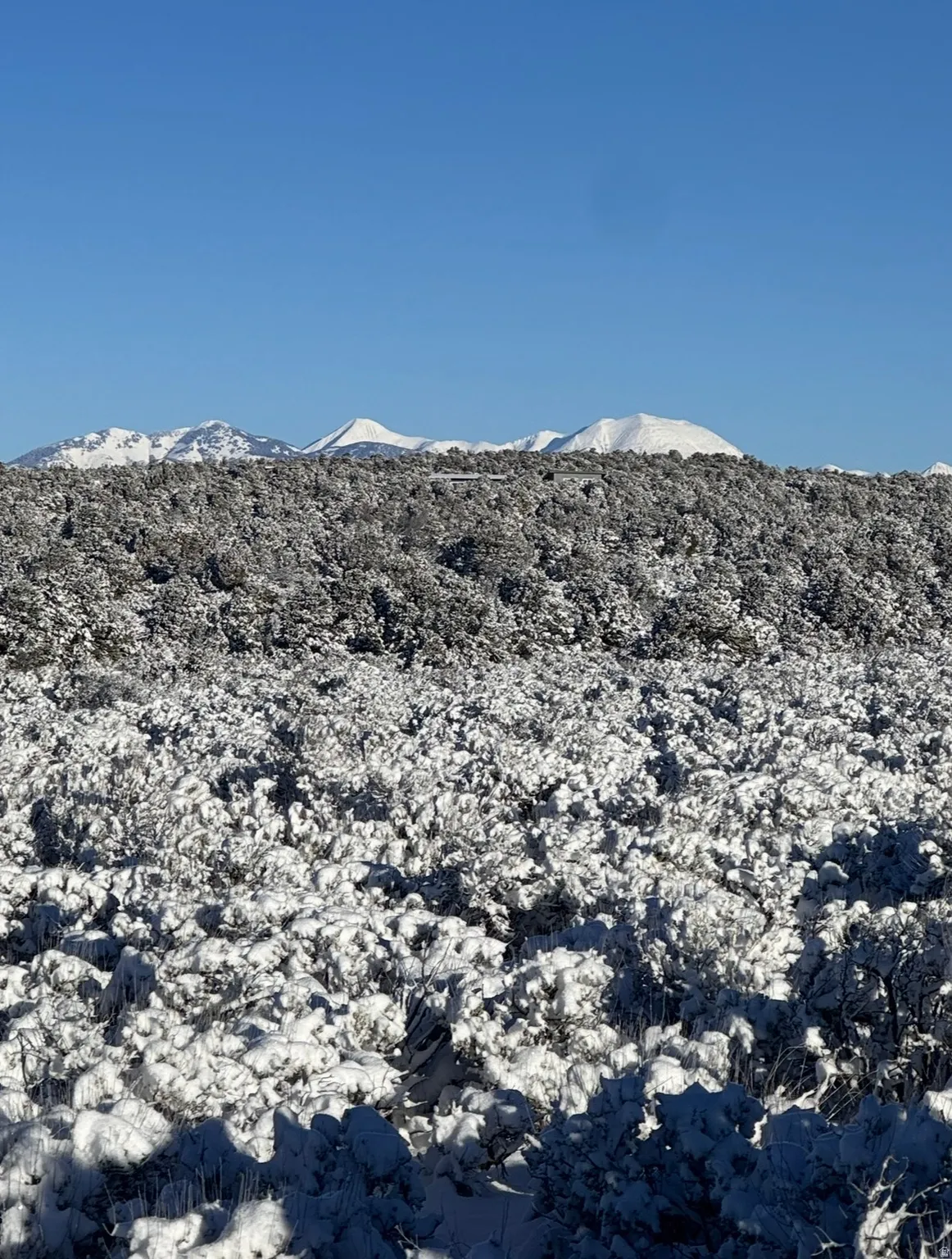 View of La Sal mountains