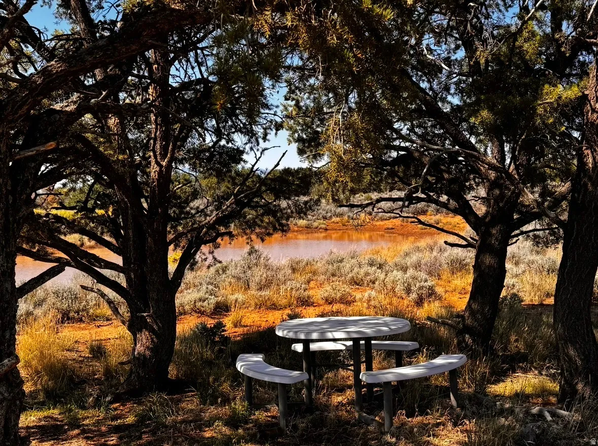 catch pond with cluster of trees