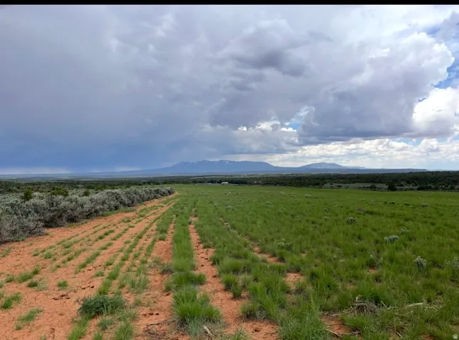 389 N Old Summit Rd, Monticello, Utah 84535
