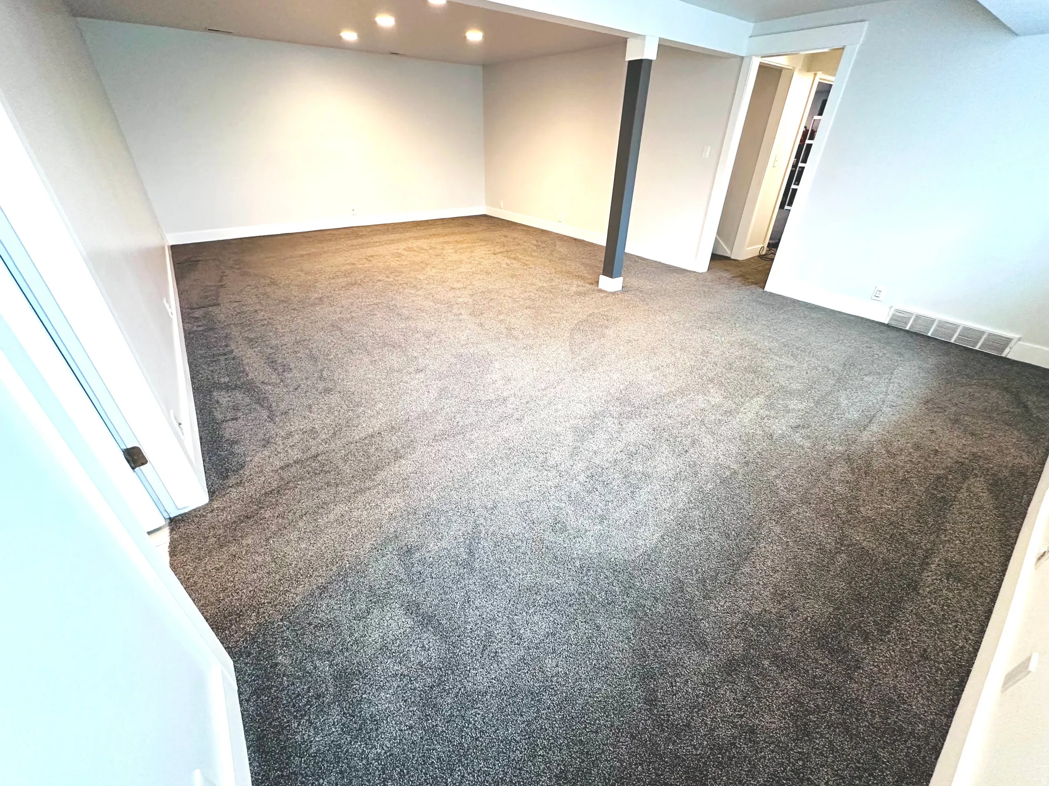Basement Family Room Unfurnished