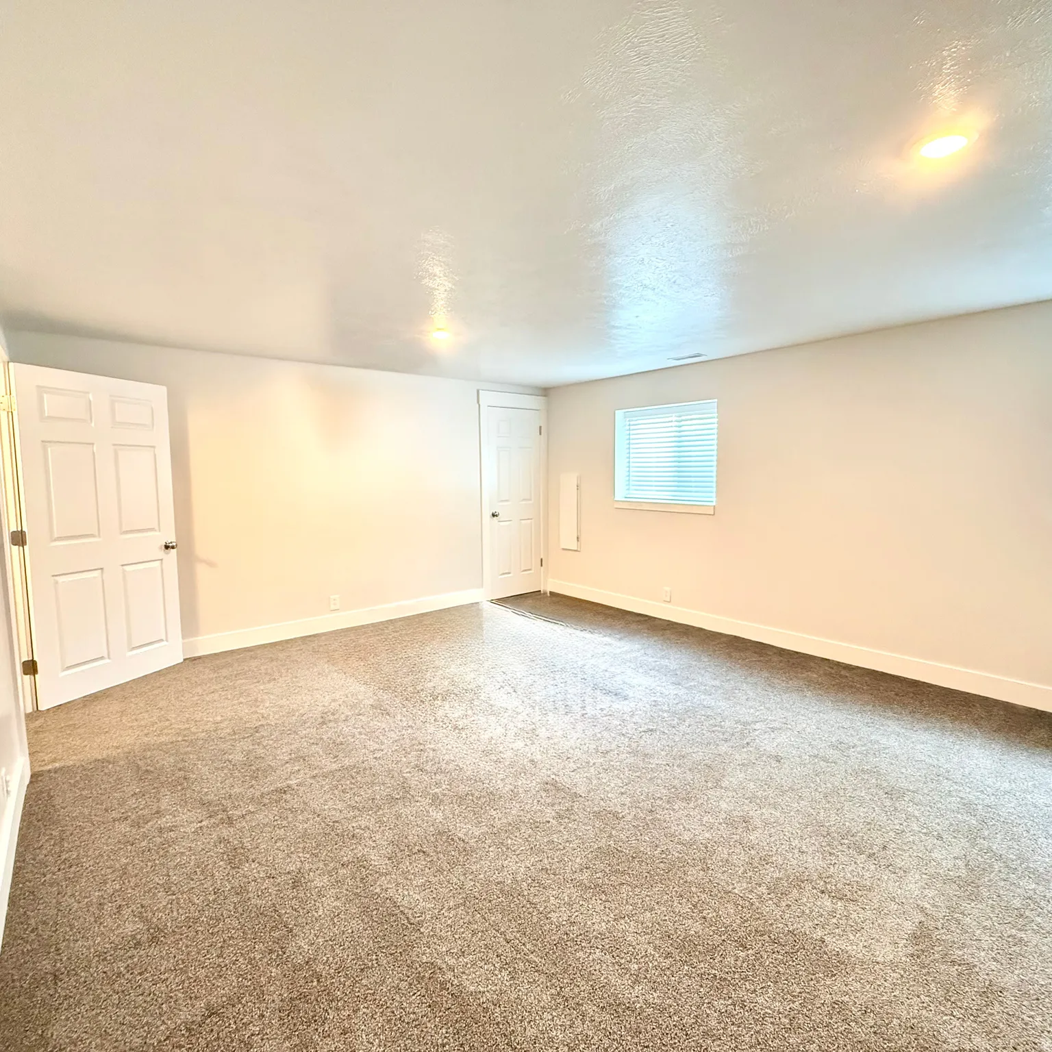 Larger Bedroom #5 in Basement