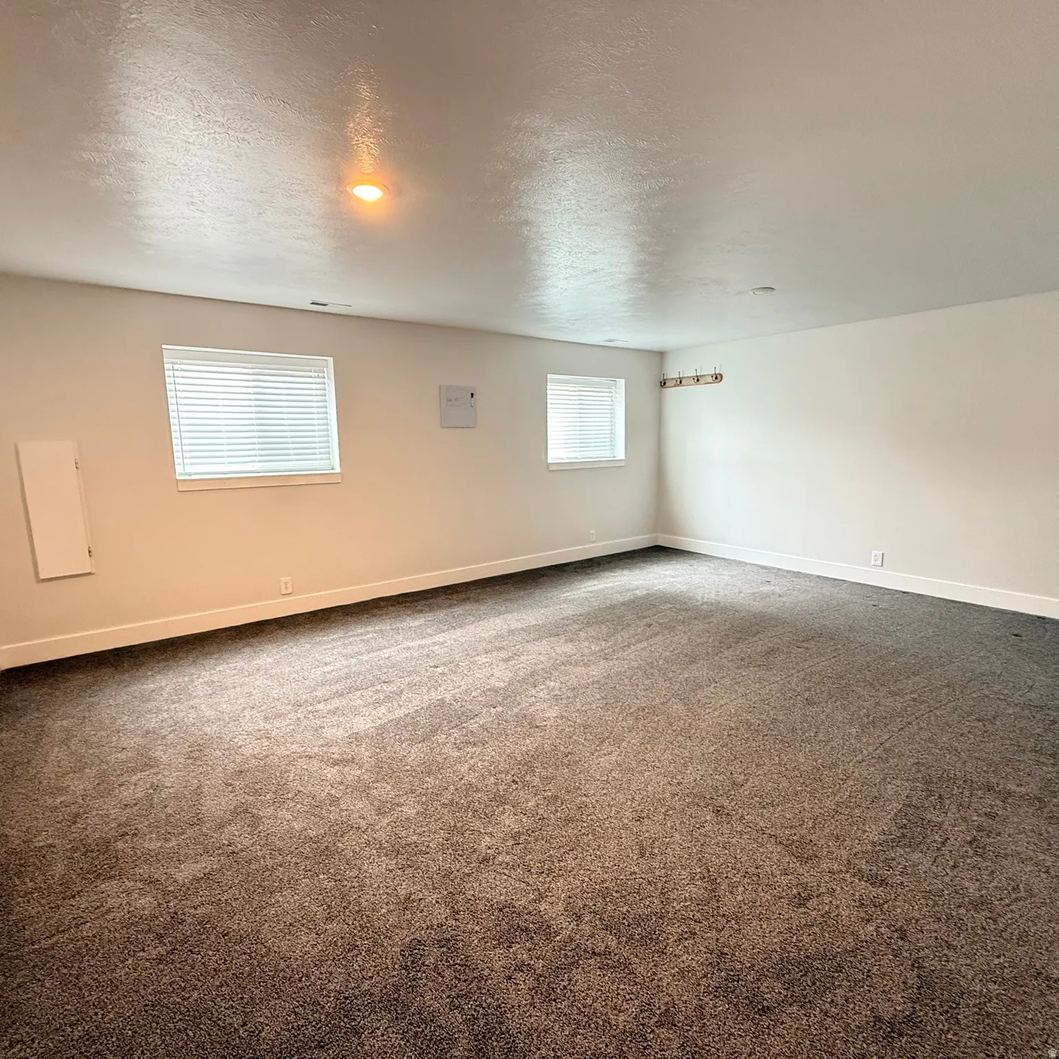 Larger Bedroom #5 Basement