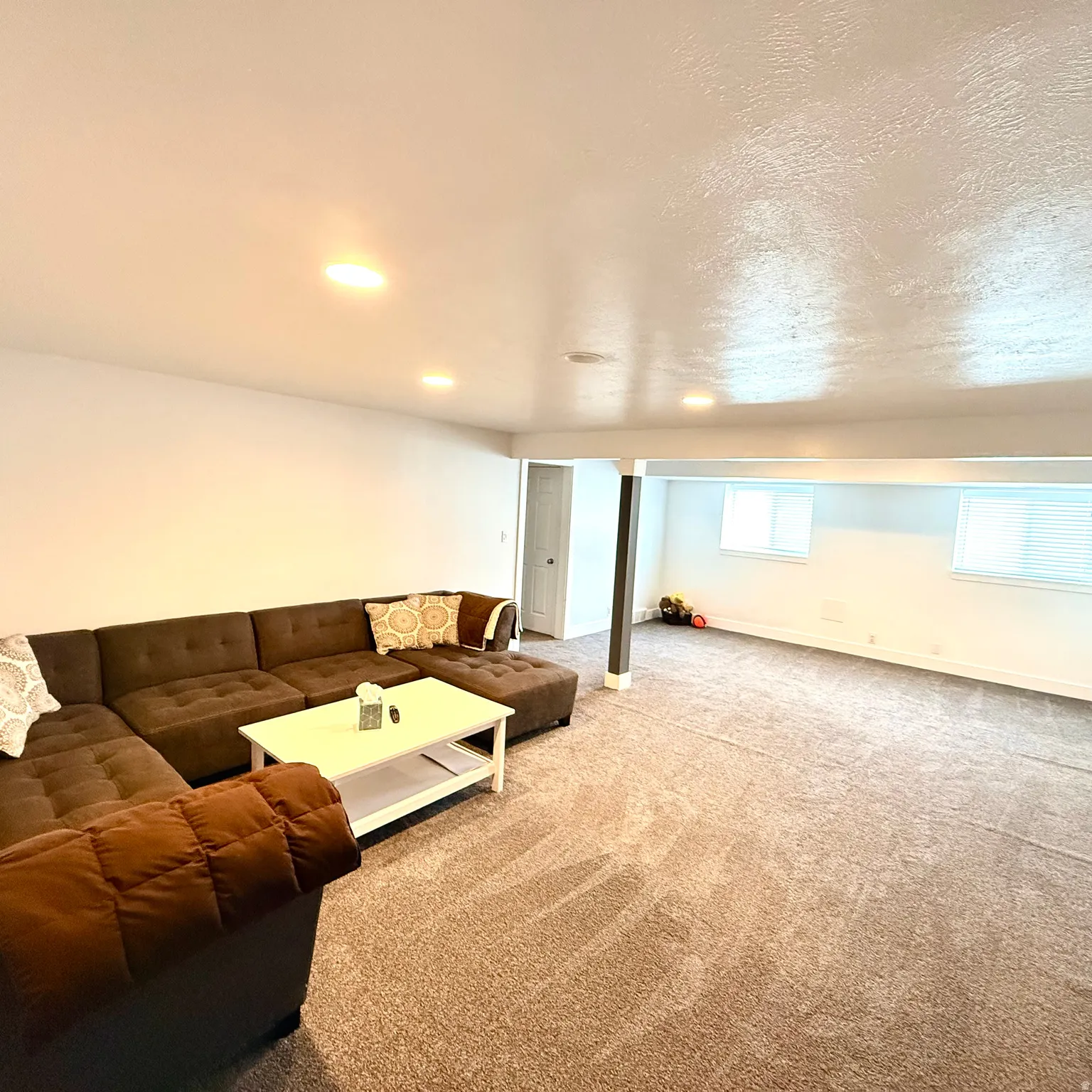 Basement Family Room