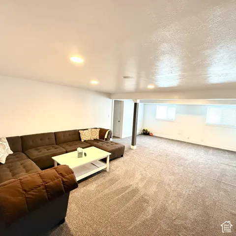 Basement Family Room