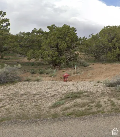 location of onsite fire hydrant and water main