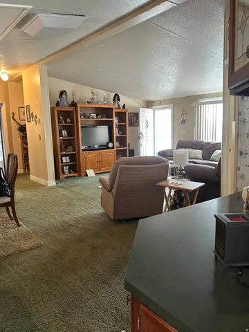 Living room with dark colored carpet and baseboards