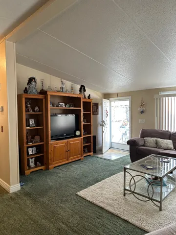 Living area with a textured ceiling and dark colored carpet