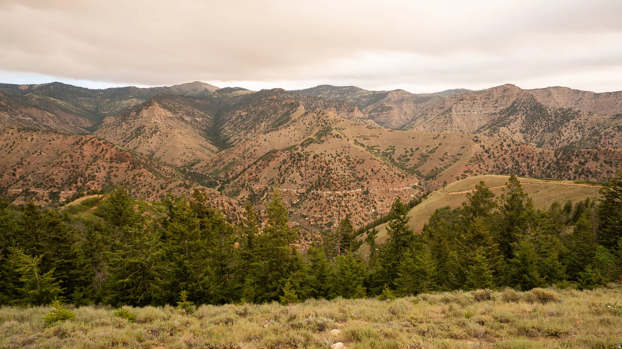 Mountainous landscape with expansive hillsides