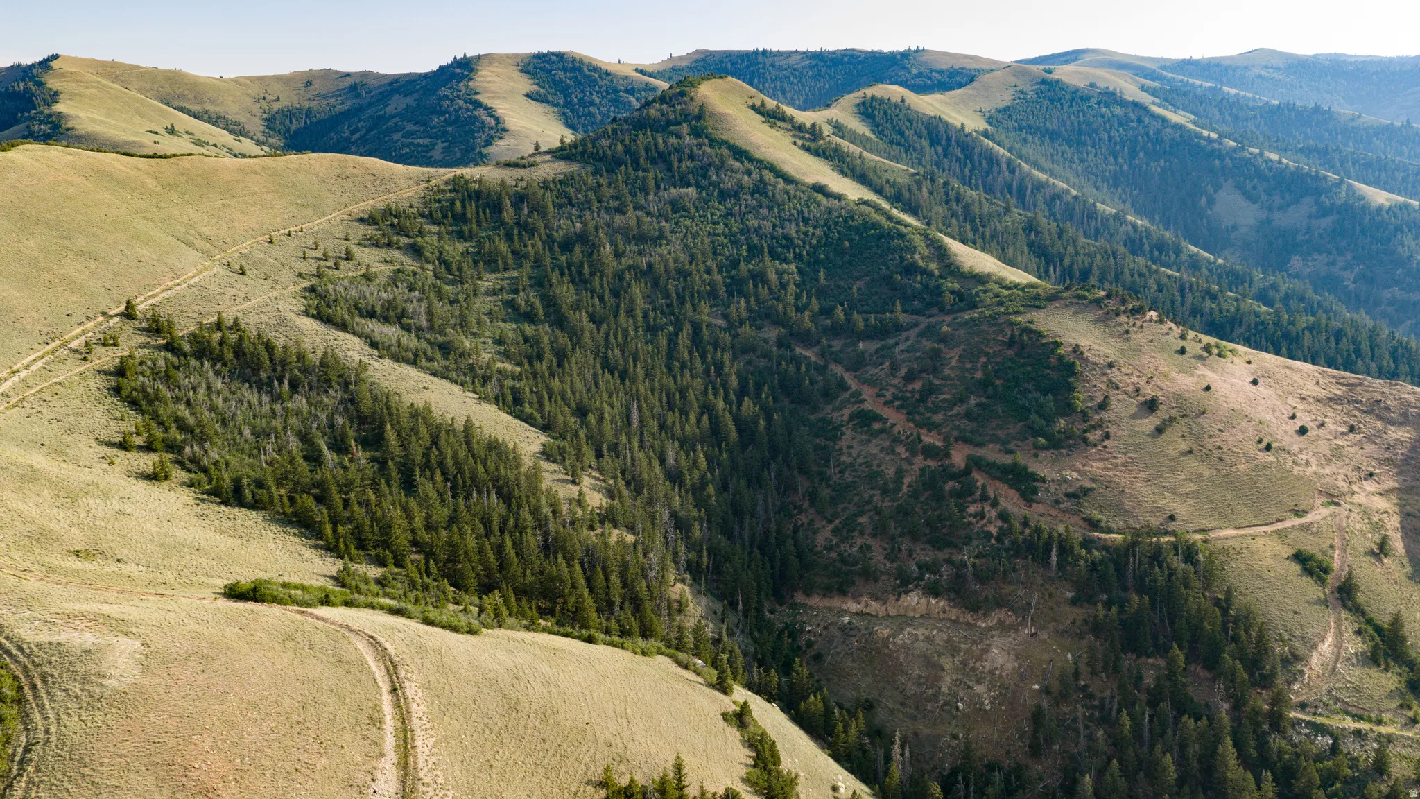 Rolling hills with natural terrain and abundant trees