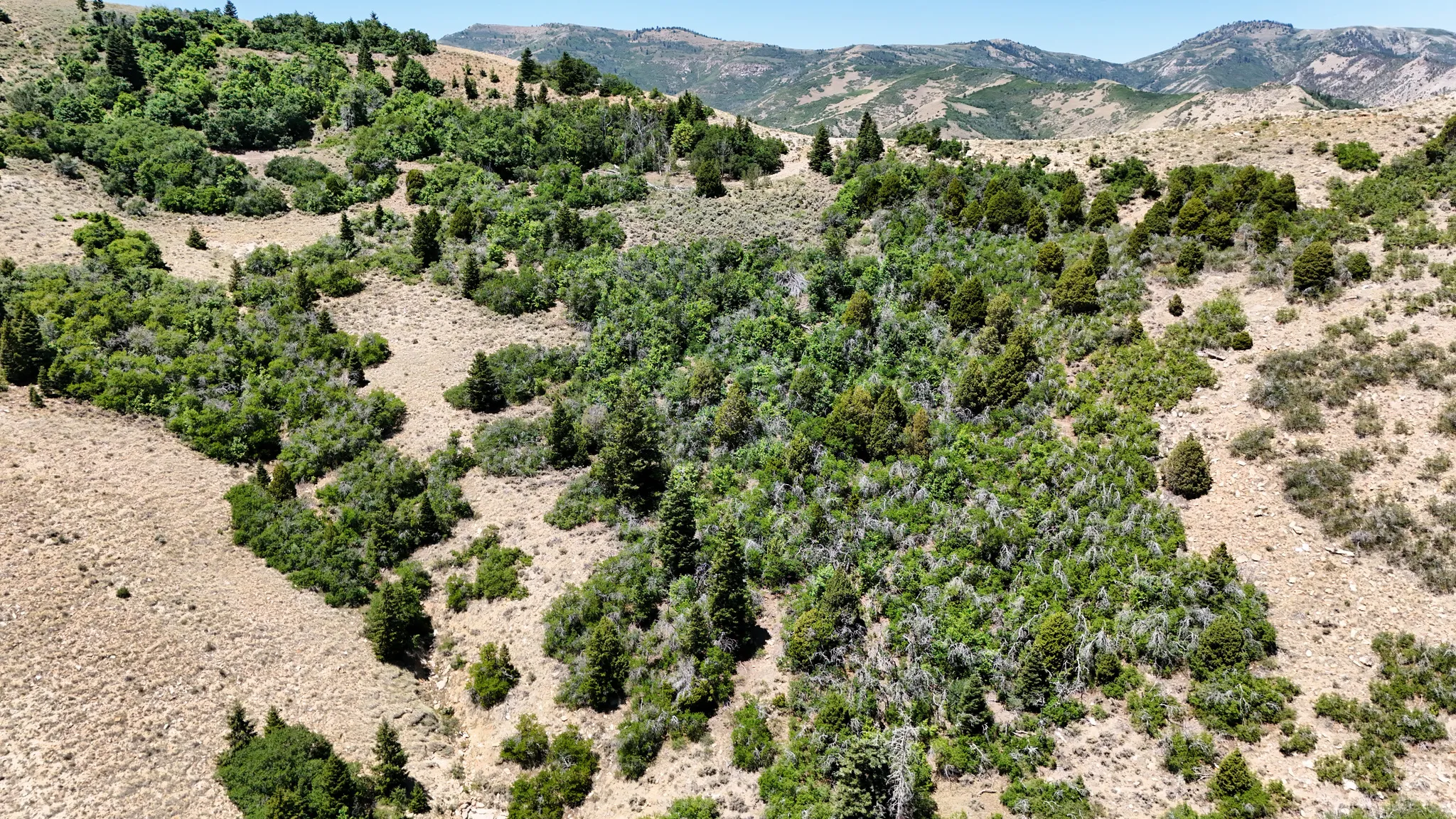 Mountain view featuring rural landscape