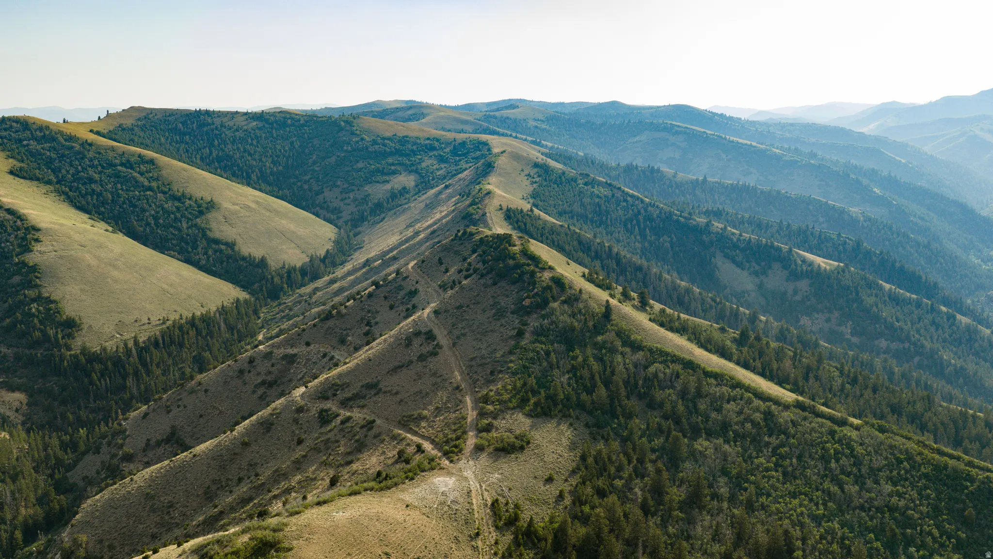 Expansive mountainous terrain featuring varied elevations, forested slopes, and natural clearings