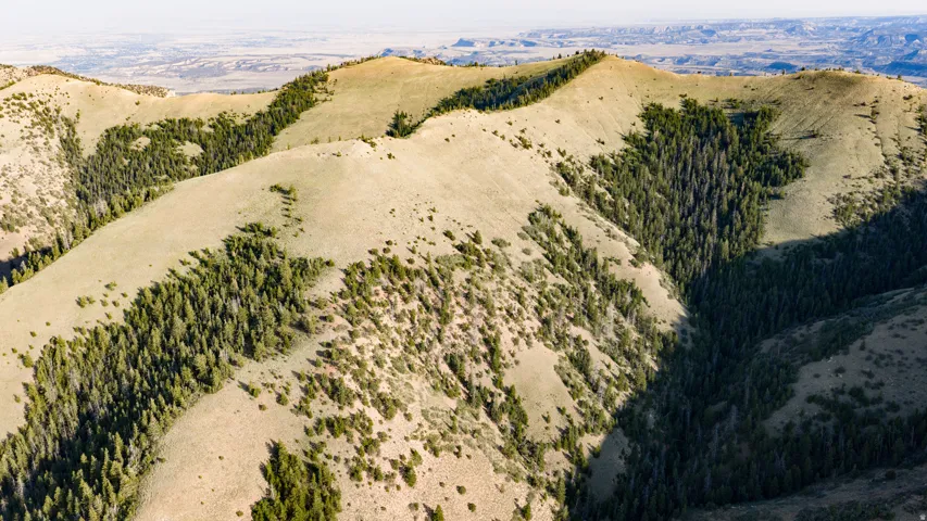 Expansive mountain terrain with varied topography and natural tree coverage