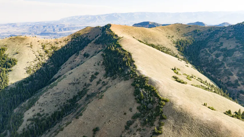 Expansive mountainous landscape featuring rugged terrain and scattered coniferous trees