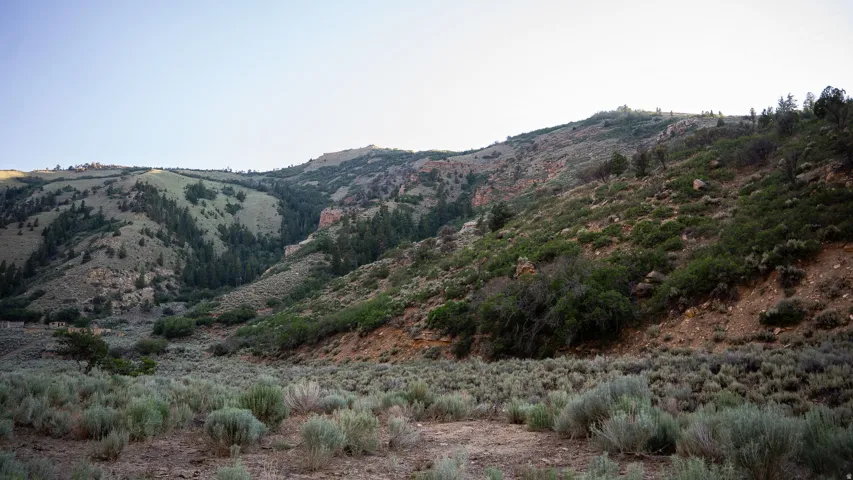 Rolling hills with varied elevation, featuring abundant scrub brush, scattered evergreen trees, and exposed rock formations