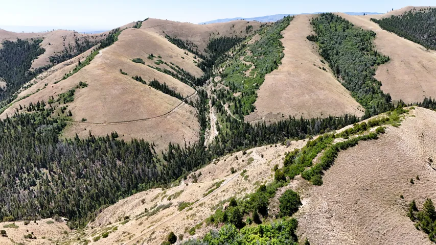 Aerial view of sparsely populated area featuring mountains