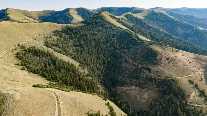 Rolling hills with natural terrain and abundant trees