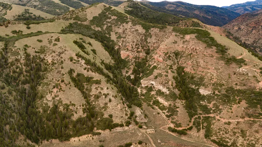 Mountainous terrain featuring diverse tree cover, natural rock formations, and visible ground paths