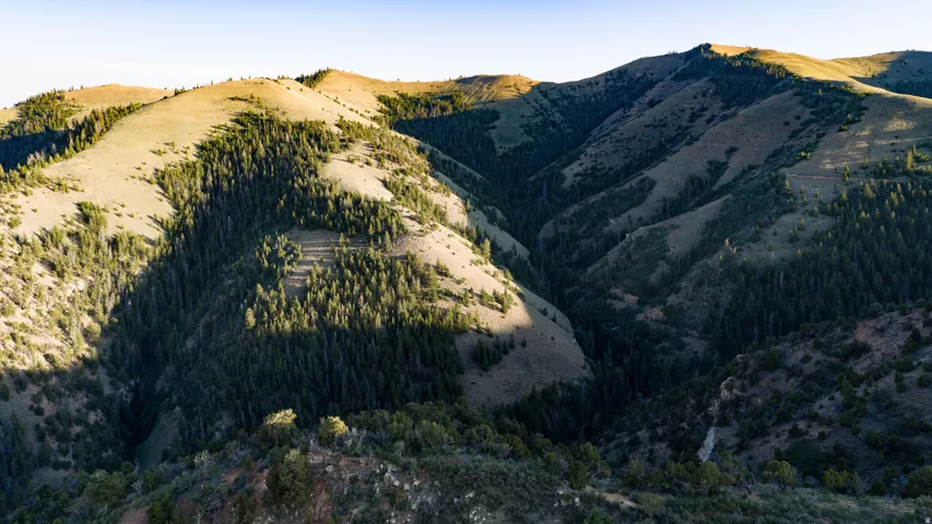 Expansive mountain landscape featuring varied elevations, dense evergreen tree coverage, and sun-drenched natural terrain