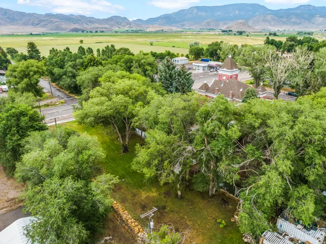 Drone / aerial view of a mountainous background and a tree filled landscape