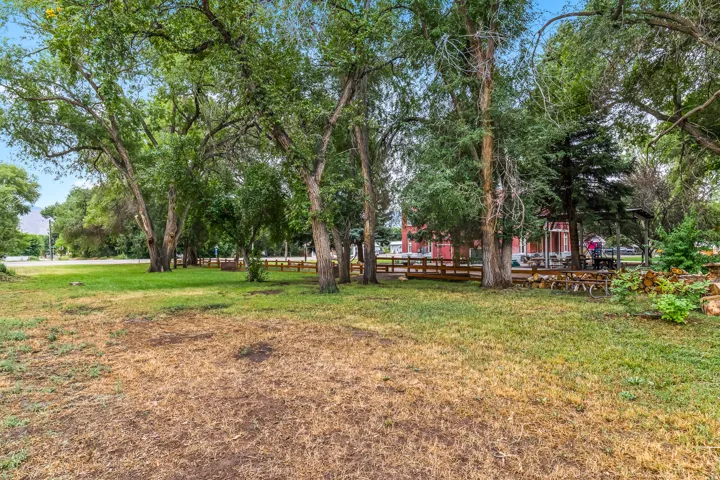 View of grassy yard