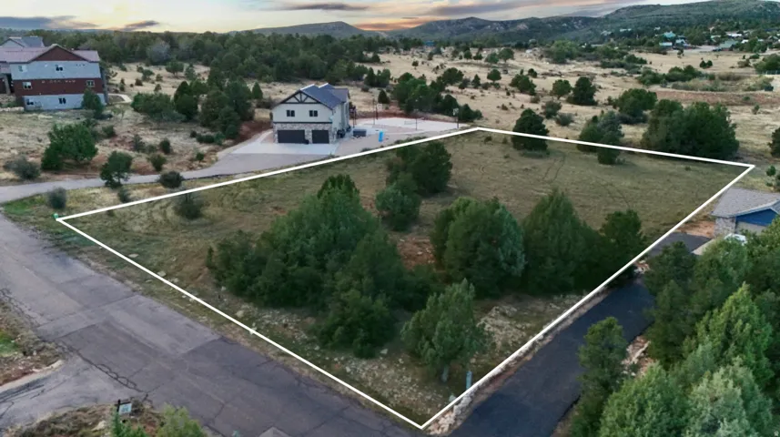Expansive lot featuring mature trees and natural landscaping
